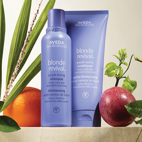 blonde revival purple toning hair care