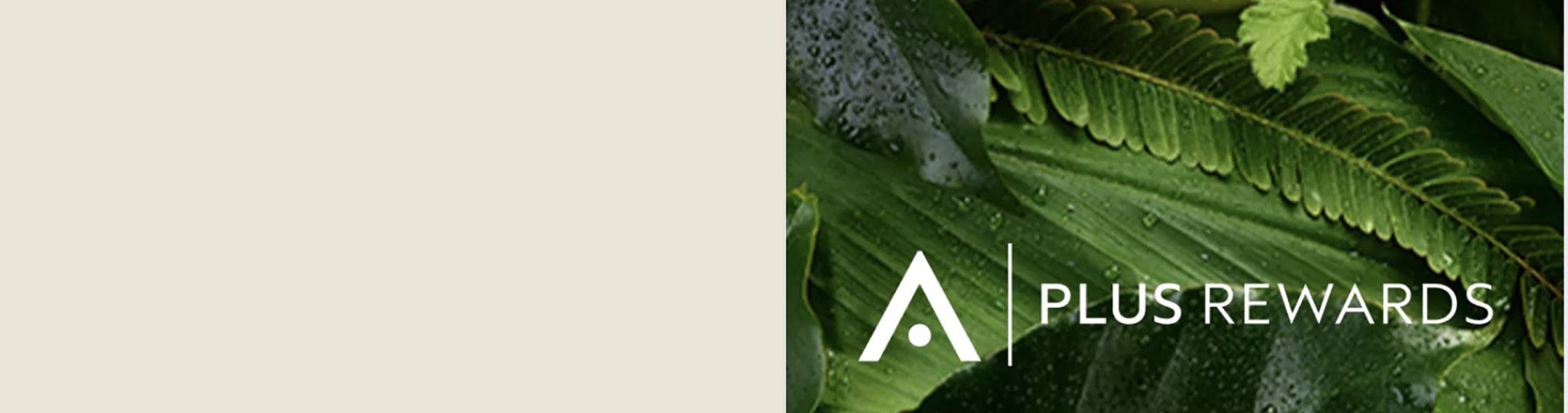 Aveda Loyalty members earn exclusive rewards