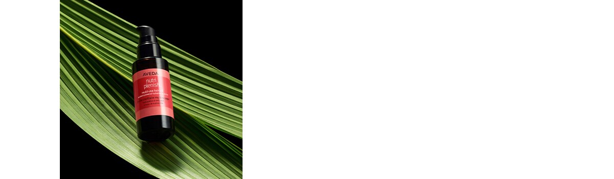 Product imagery of Nutriplenish Multi-Use Hair Oil.