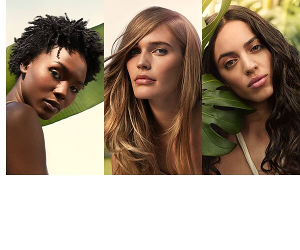 Four Superfoods from Nature your hair will love