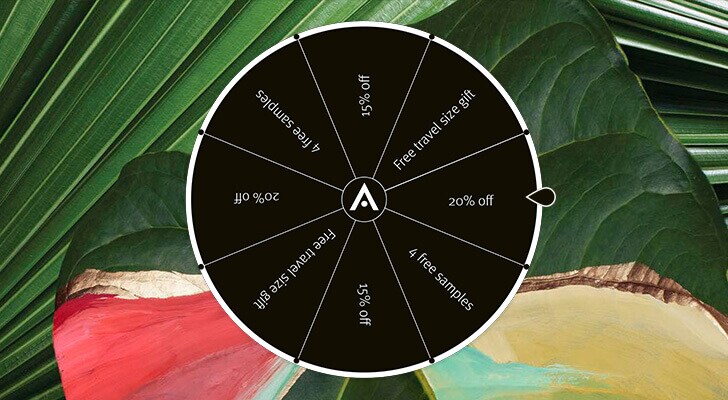 Spin the wheel for a chance to win a special offer