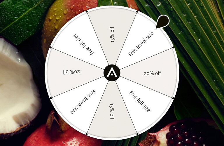 Spin the wheel for a chance to win a special offer