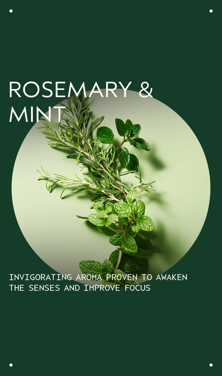 limited-edition invigorating awe rosemary mint hair & body essentials gift set