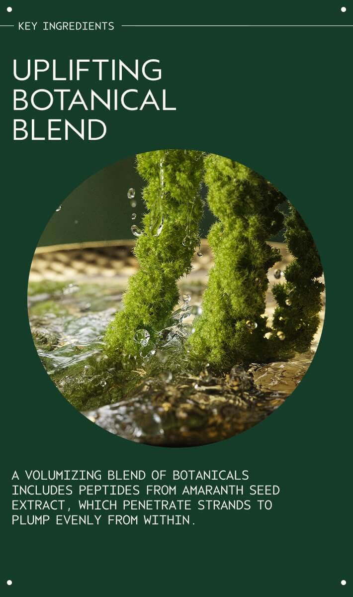 Pure Abundance⢠Volumizing Conditioning Rinse