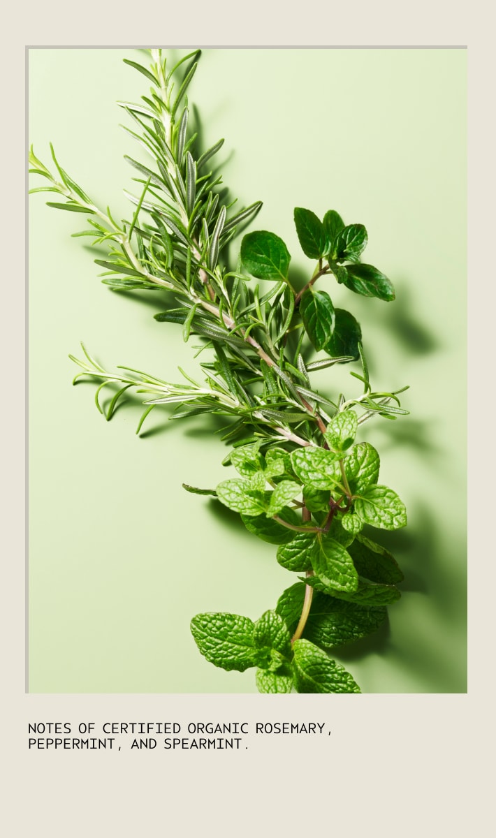 Limited-Edition Light The Way™ Vegan Soy Wax Candle with Rosemary Mint Aroma