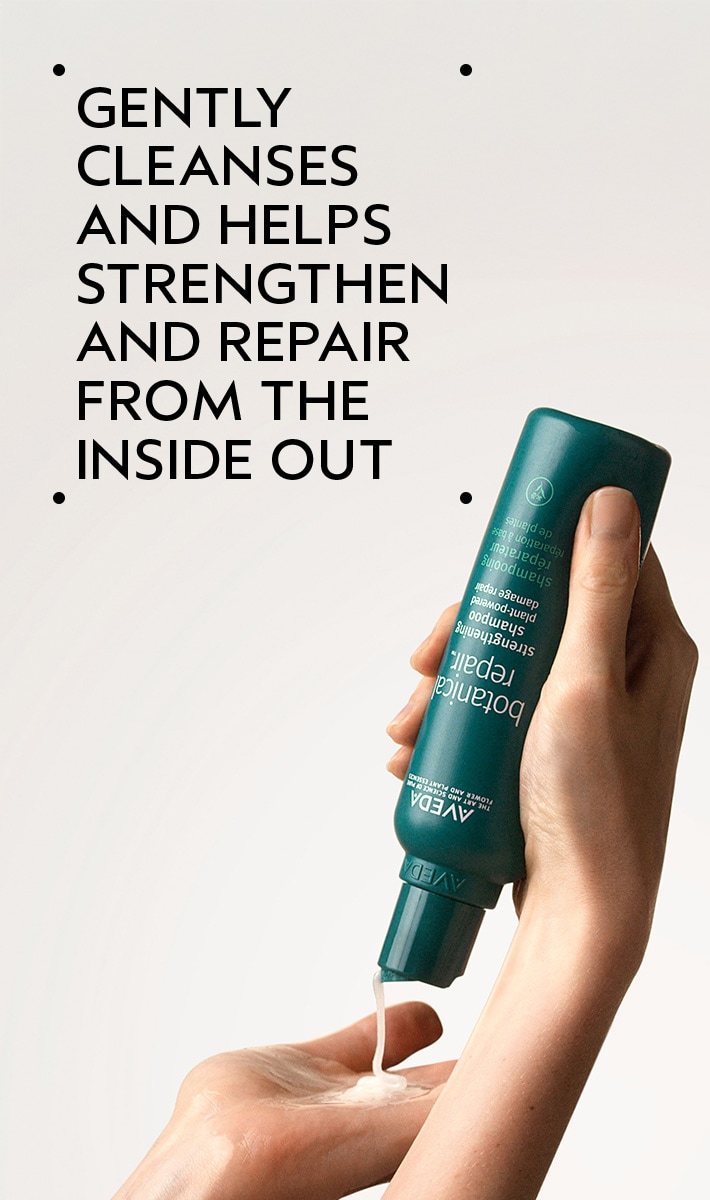 AVEDA Icons Set 2026