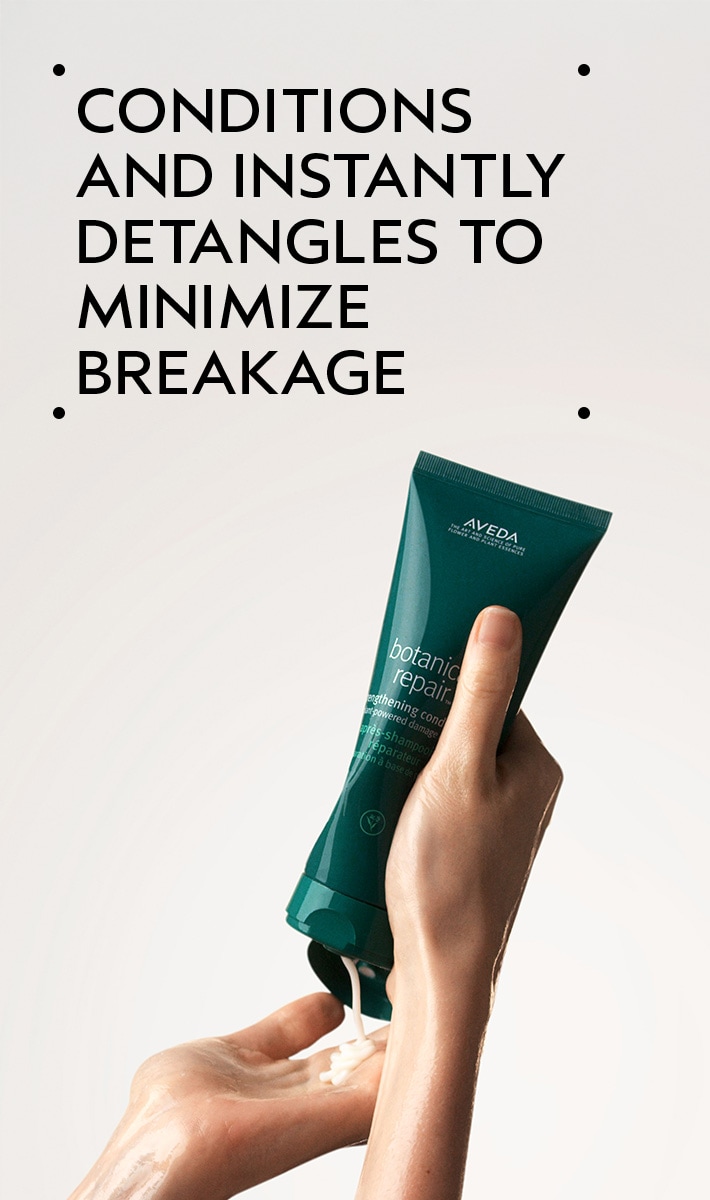 AVEDA Icons Set 2026