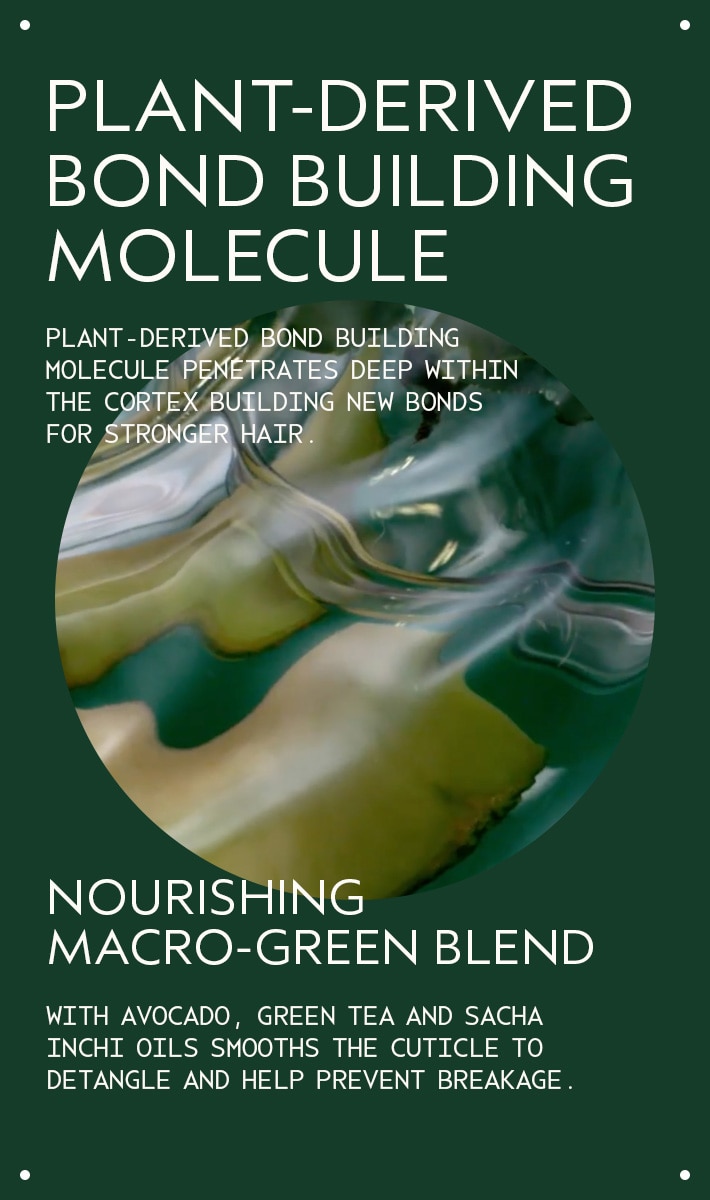 Hair Repair Wellness Set