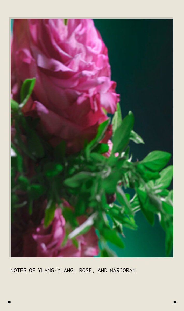 Hair Repair Wellness Set