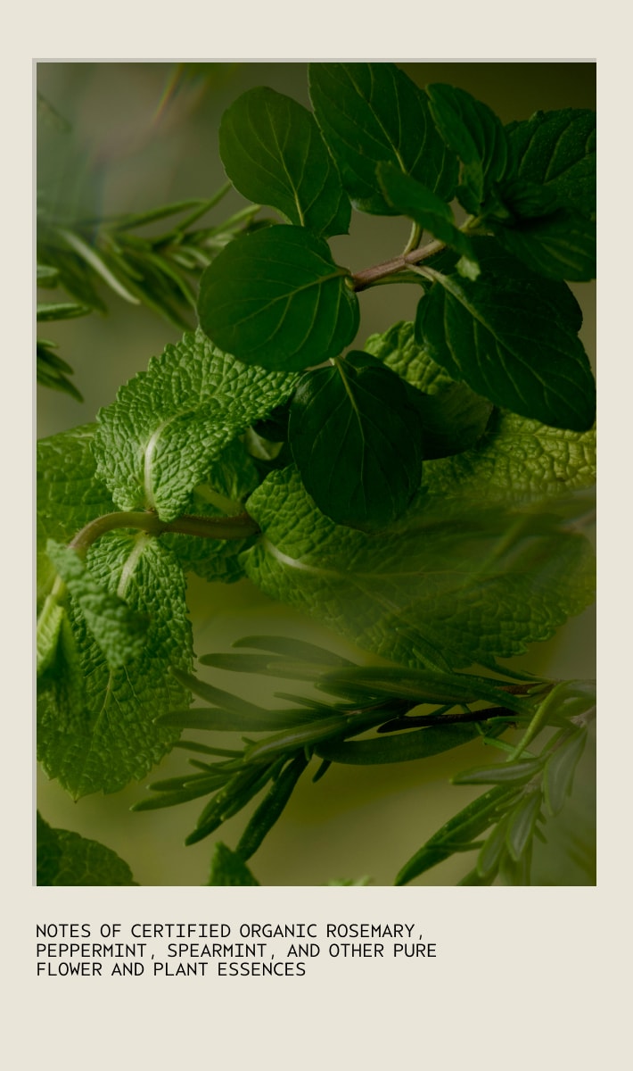 Gift of Awakening Rosemary Mint Body Gift Set (Worth £68.50)