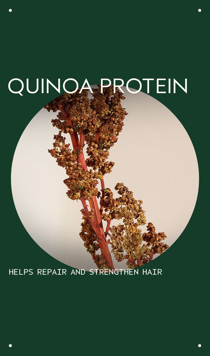 damage remedy<span class="trade">&trade;</span> restructuring conditioner