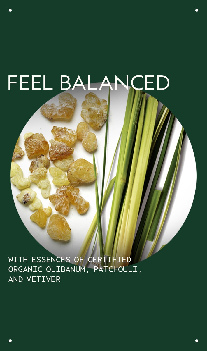 chakra<span class="trade">&trade;</span> 1 balancing body mist grounded