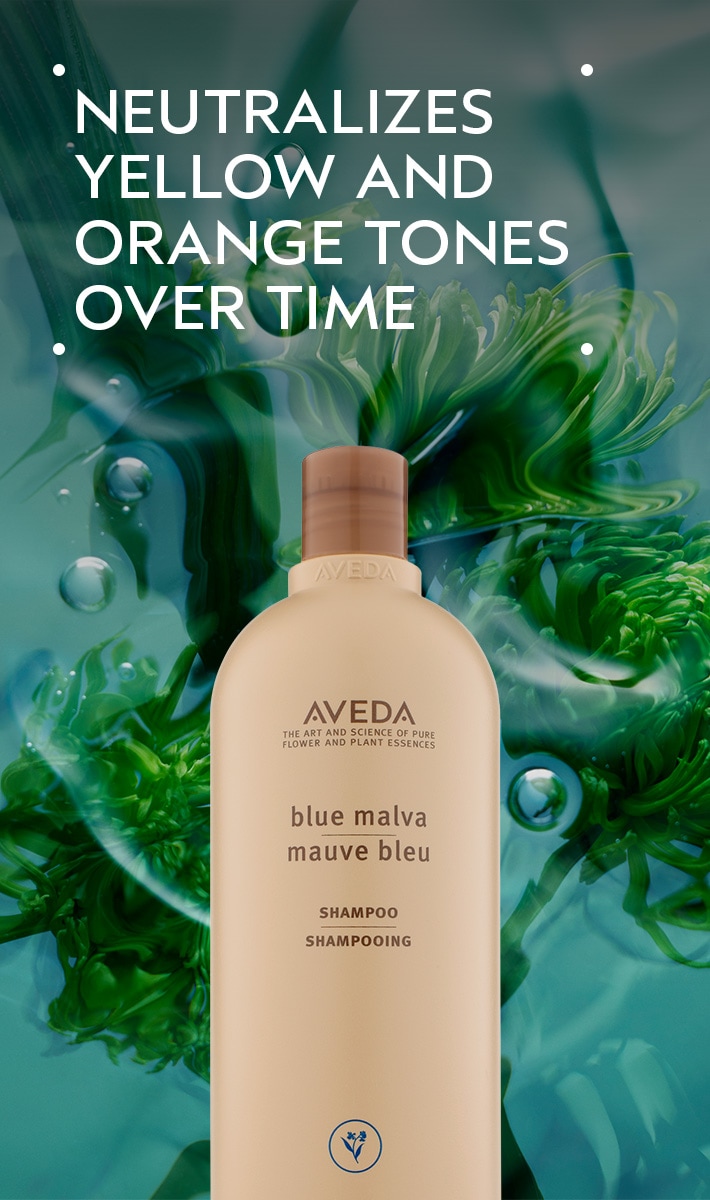 blue malva shampoo