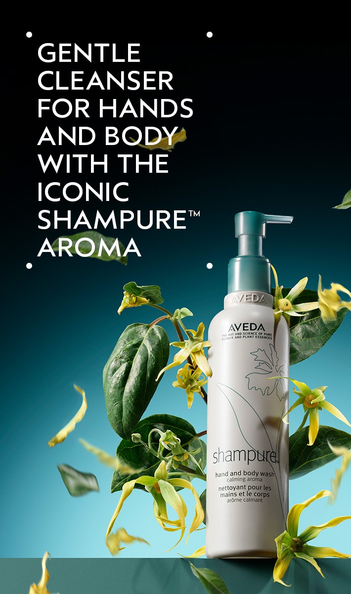 shampure<span class="trade">&trade;</span> hand and body wash