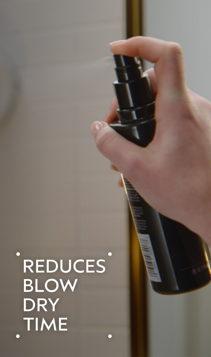 speed of light<span class="trade">™</span> blow dry accelerator spray