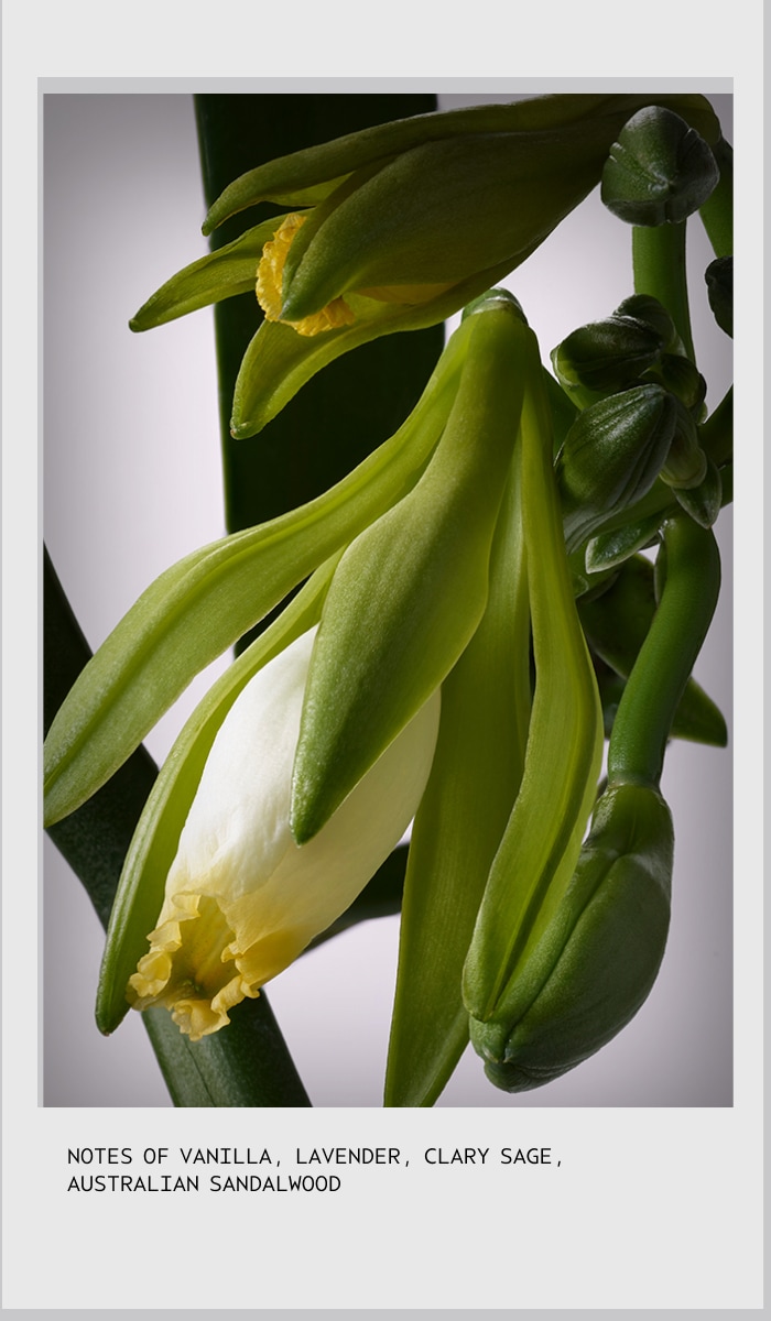 invati brow<span class="trade">&trade;</span> thickening serum