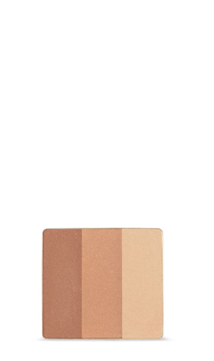 petal essence<span class="trade">&trade;</span> face accents