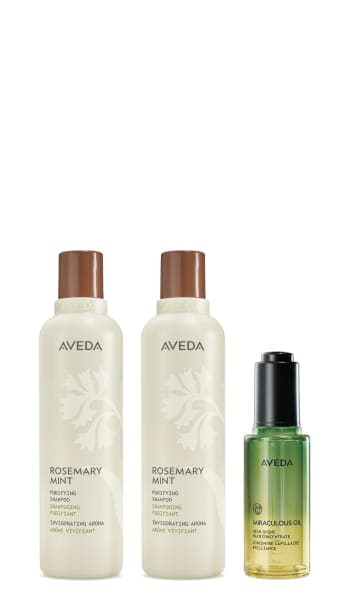 The Revive and Shine Haircare Set