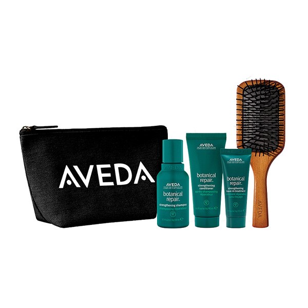 AVEDA Hair Repair Travel Essentials (worth £67.50) - Set